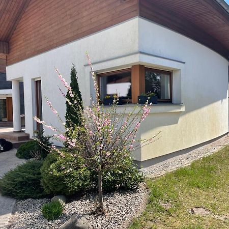 Apartament Przy Lesie Chojno-Blota Wielkie 外观 照片