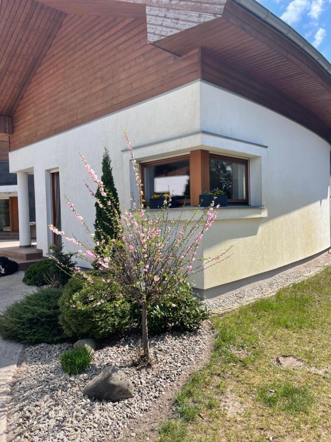 Apartament Przy Lesie Chojno-Blota Wielkie 外观 照片