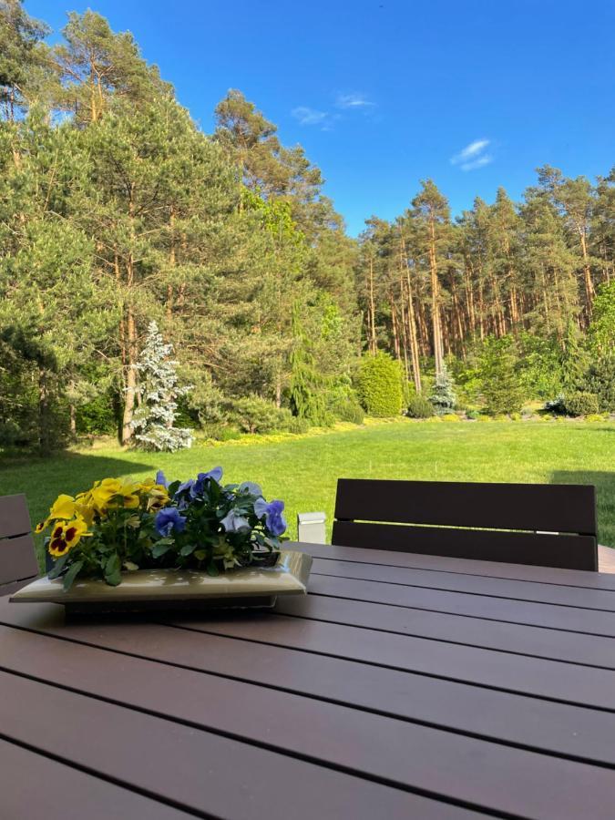 Apartament Przy Lesie Chojno-Blota Wielkie 外观 照片