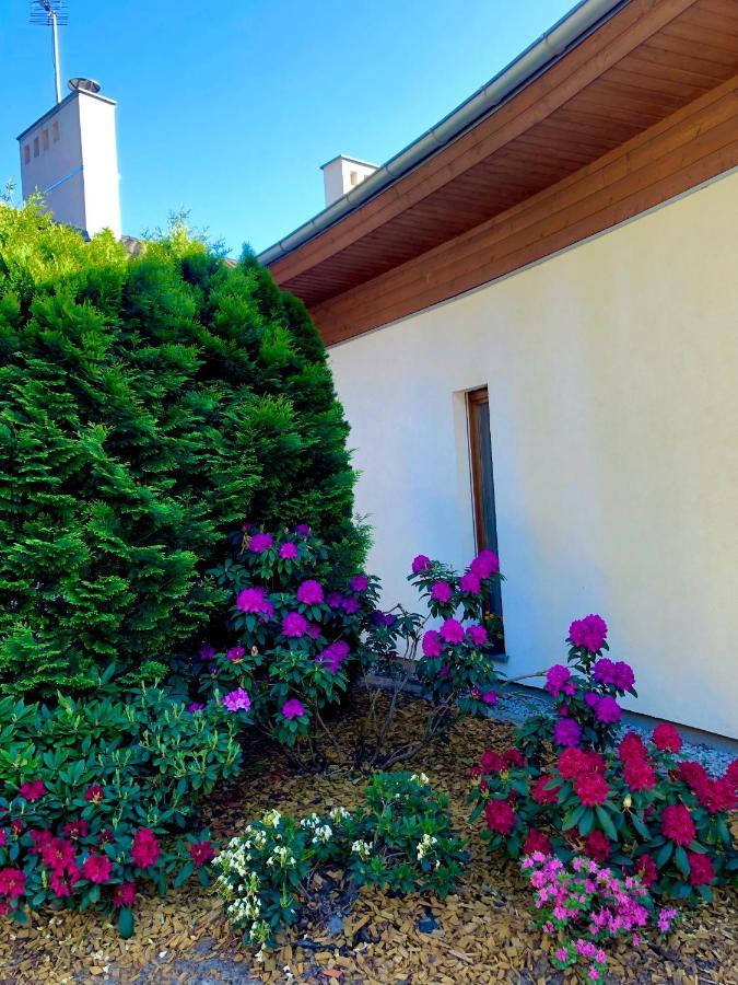 Apartament Przy Lesie Chojno-Blota Wielkie 外观 照片